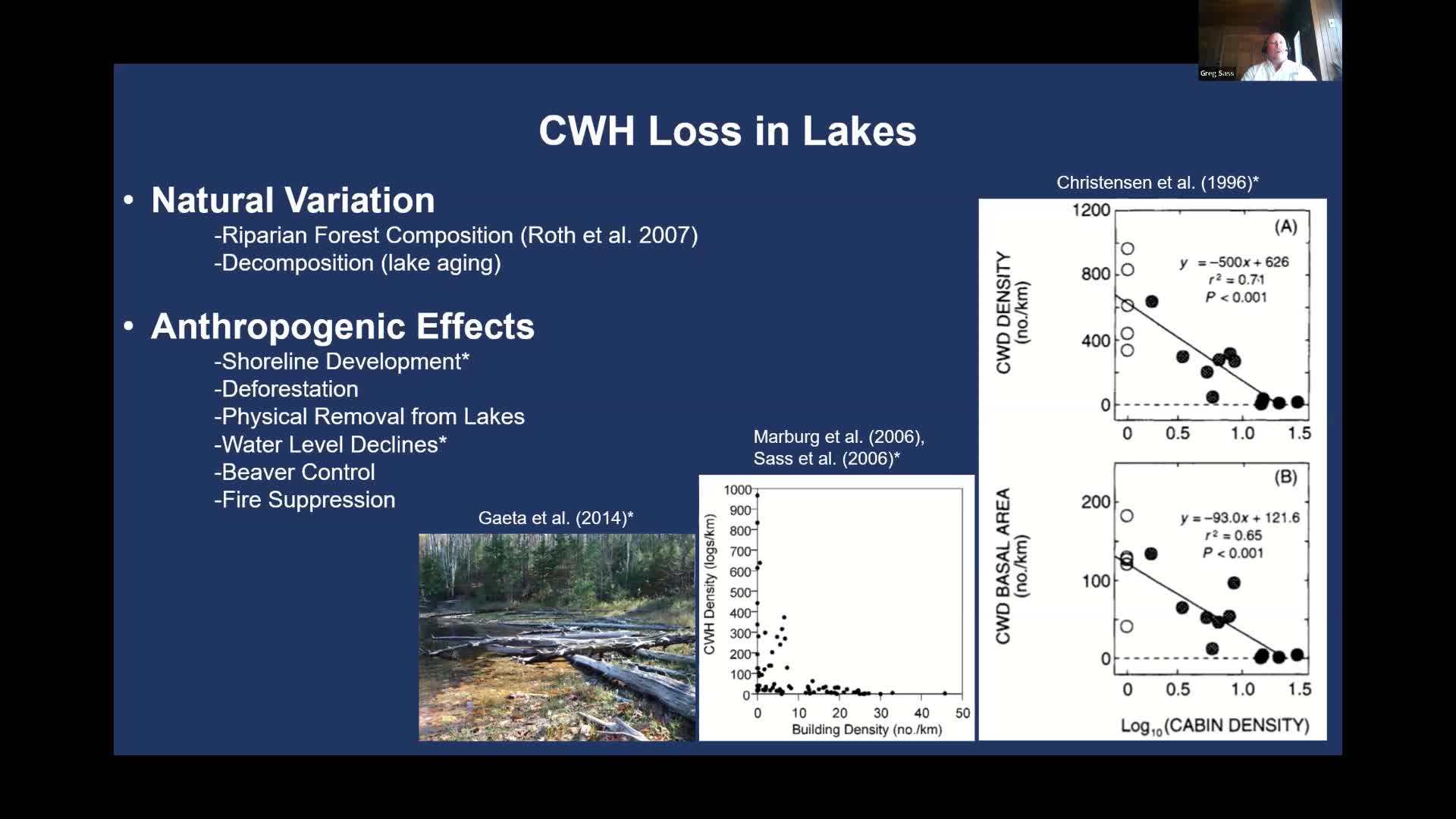 Thumbnail image for Water Plants and Woody Debris in Shallow Waters: Friend or Foe